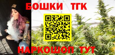 винт Дубна