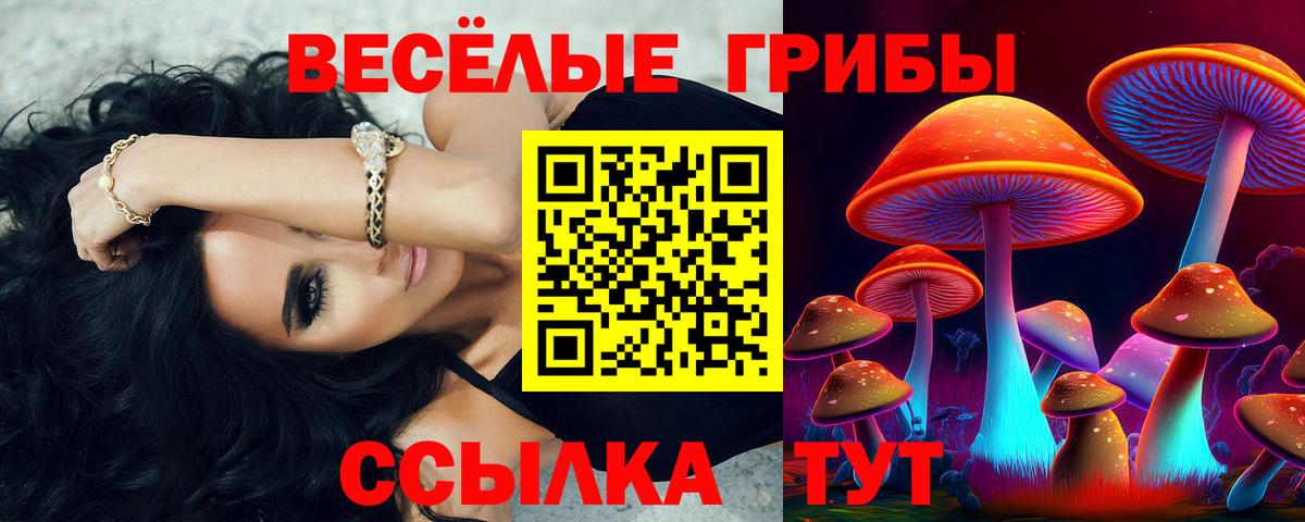 Псилоцибиновые грибы мицелий  Псилоцибиновые грибы Psilocybine cubensis  Михайловск  Вход с VPN 